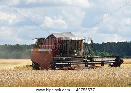 Harvesting Of Wheat. Russia