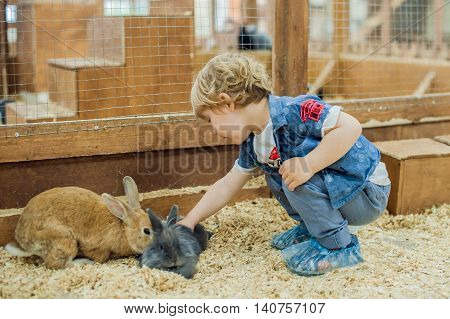 Boy Play With The Rabbits