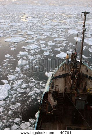 En el hielo