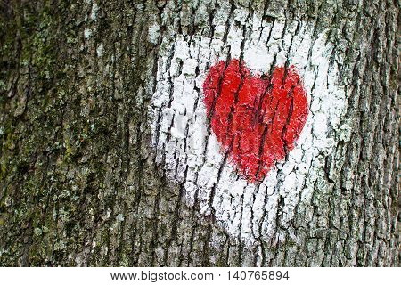 Red heart inside white circle painted on tree