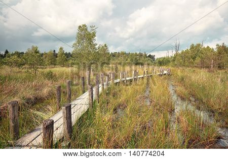 wooden road on swamp in summer Drenthe Netherlands