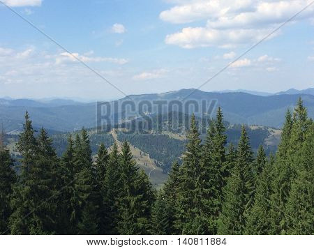 Romania, August 2015, Ceahlau Massif, Moldova, View over the mountains tops through the tall fir trees