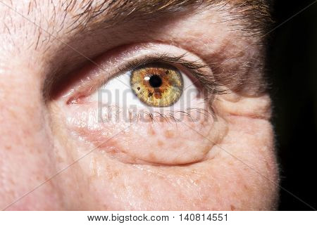 Image of man's brown eye close up.