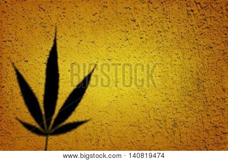 Umber background with marijuana leaf with space for your text