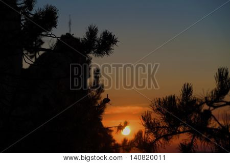Orange Sunrise In Austria Mountains In Summer Time