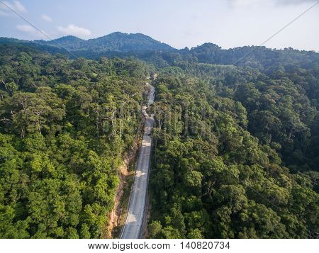 Aerial jungle way view of Koh Phangan, Thailand