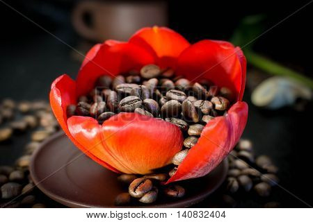 Brazilian coffee Photo shootet in Russian Federation