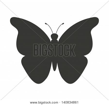 beautiful butterfly silhoeutte icon vector isolated graphic