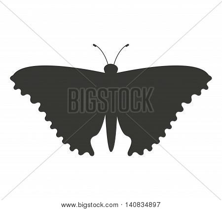 beautiful butterfly silhoeutte icon vector isolated graphic