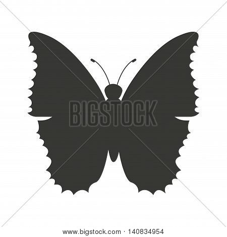 beautiful butterfly silhoeutte icon vector isolated graphic