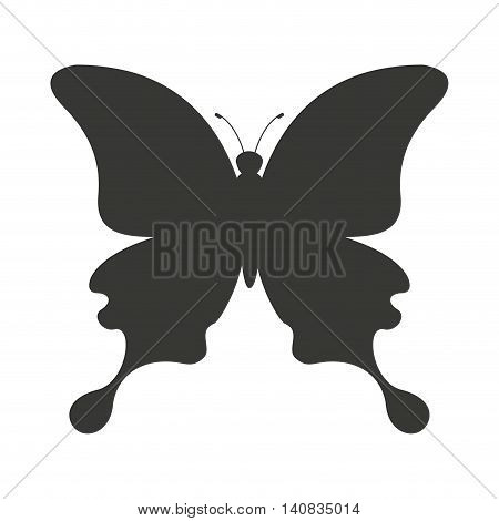 beautiful butterfly silhoeutte icon vector isolated graphic