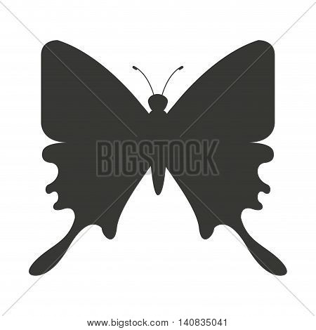beautiful butterfly silhoeutte icon vector isolated graphic