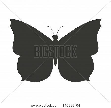 beautiful butterfly silhoeutte icon vector isolated graphic