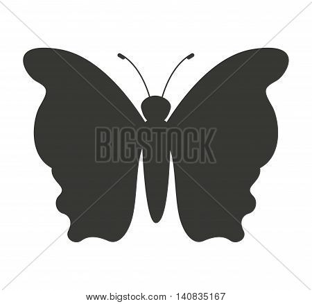 beautiful butterfly silhoeutte icon vector isolated graphic