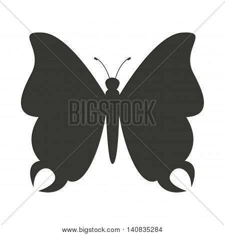 beautiful butterfly silhoeutte icon vector isolated graphic