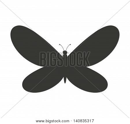beautiful butterfly silhoeutte icon vector isolated graphic