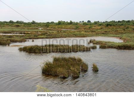 Landscape Lagoon Near Venice