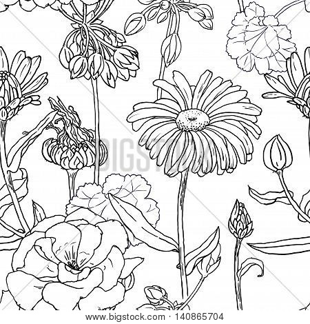Hand drawn sketch illustration of geranium and primula with flowers buds leaves. Contour graphic. Vector seamless pattern.