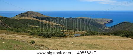 Beautiful landscape on the Banks Peninsula New Zealand. Rural landscape and Pacific Ocean.