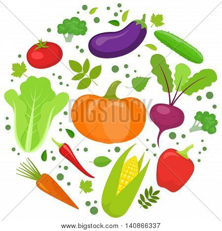 Set of colorful vegetables in circle shape background. Template for packaging cards posters and eco food menu. Vector stock illustration.