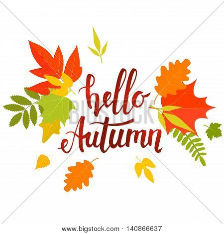 Handwritten lettering Hello autumn with yellow leaves. Vector stock illustration.