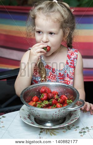 Portrait of little girl is eating sweet red strawberry fruits from cullender