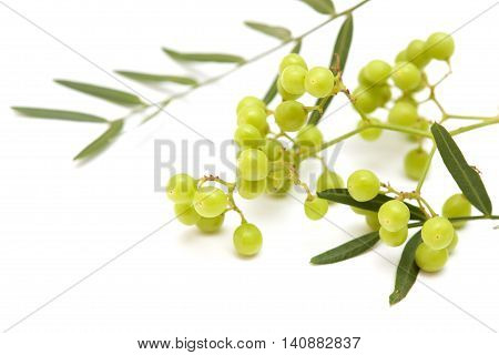 Pink Peppercorn Clusters Isolated On White