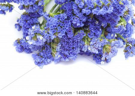 Limonium Sinuatum, Statice