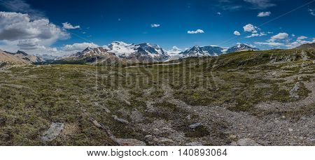 Wilcox Pass Panorama