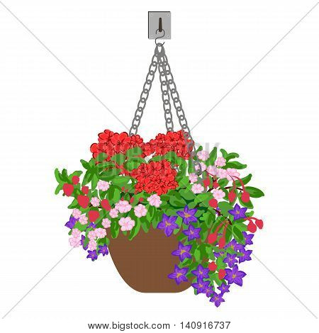 Vector colorful illustration of hanging pot with flowers. Floral arrangement.
