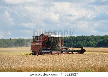 NARO-FOMINSK RUSSIA - JUL 31 2016: Harvesting of wheat. Combine Harvester in agricultural fields. Russia ranks first in the export of wheat in the world is continuously increasing grain production
