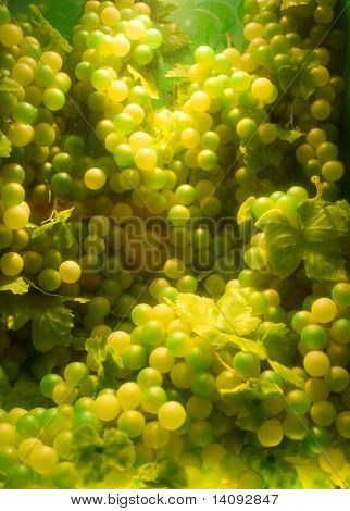raisins