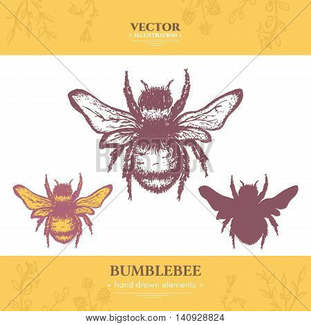 Bumblebee collection vintage style ink hand drawn vector