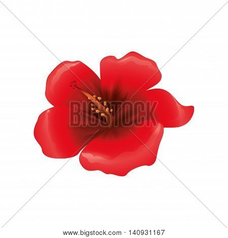 Nature garden decoraton concept represented by flower icon. Isolated and flat illustration
