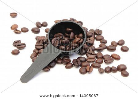 Kaffeebohnen