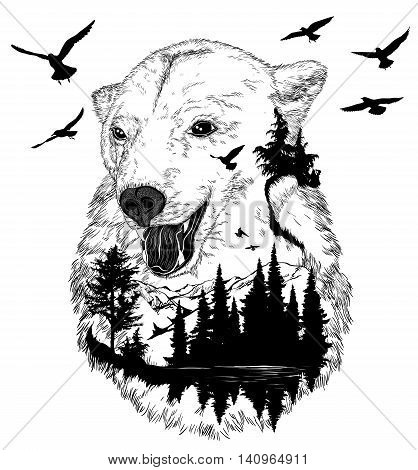 Hand drawn bear portrait for your design wildlife concept