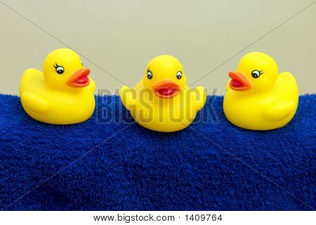 Badeendjes Kijken