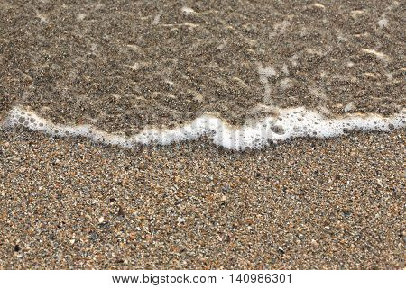 A Wide Variety Of Seashells Display Texture And Color On A Sandy Beach While Photographed In Early M