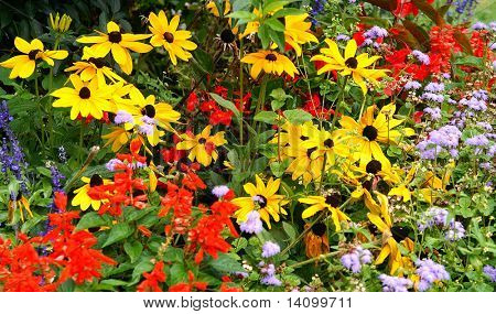 blomst (skov af blomster)