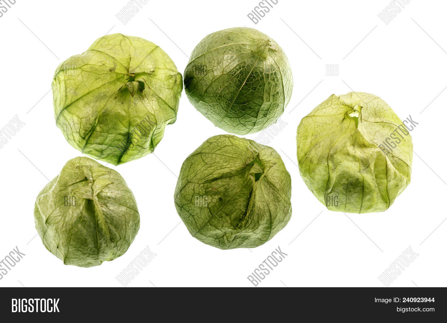 Tomatillo Mexican Husk Image & Photo (Free Trial) Bigstock