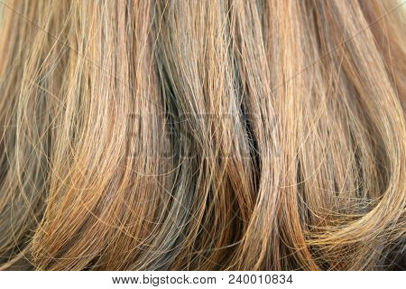 Background Of Hair Dyed Color With Highlight Technique But Makes Hair Damaged And Coarse