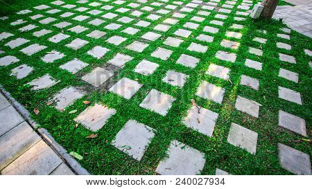Green Garden Architecture Design. Walkaway Design Landscape.