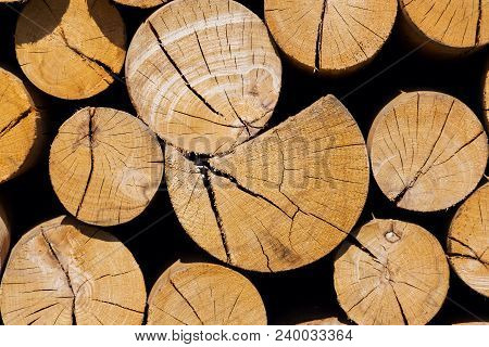 Pile Of Worked Wooden Roundish Clear Beautiful Logs, Stacked Firewood