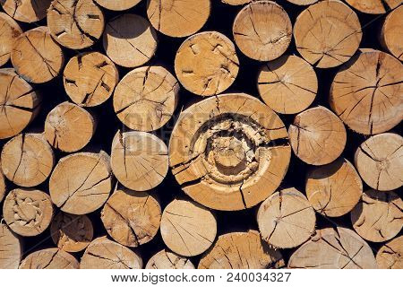 Pile Of Worked Wooden Roundish Clear Beautiful Logs, Stacked Firewood