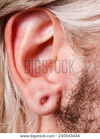 Stretched Lobe Piercing, Grunge Concept. Pierced Man Ear Without Black Plug Tunnel