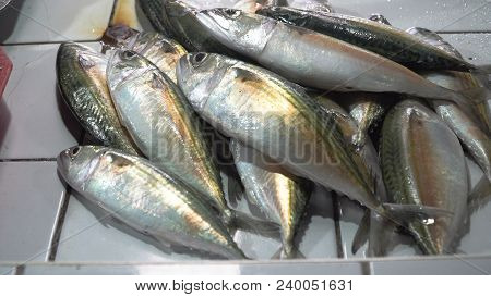 Fresh Fish In Asian Market. Sale Of Fresh Sea Fish In The Asian Public Store. Sea Fish Lying On The 