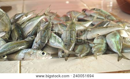 Fresh Fish In Asian Market. Sale Of Fresh Sea Fish In The Asian Public Store. Sea Fish Lying On The 