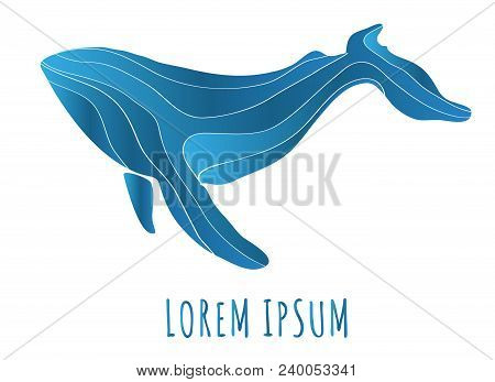 Vector Illustration Of An Abstract Whale Logo Deign