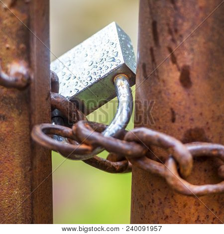 The Lock On A Chain On A Gate, It Is Rainy