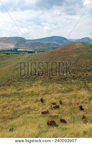 Landscape Of Countryside And The Galilee Mountains In The Hula Valley, View From Tel Hazor, Northern